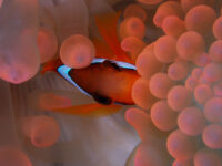 いや～風がビュンですね・・・石垣島ダイビング