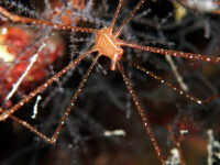 時化ました・・・石垣島ダイビング