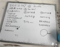 いやいや～困りましたね・・・石垣島ダイビング＆離島ドリフト